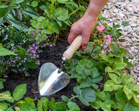 Stainless Planting Trowel Rhs Gardensonline