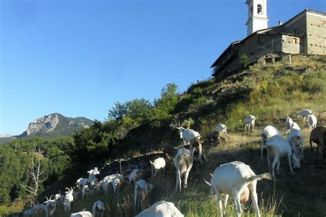 16 Puy Trail Valle Maira