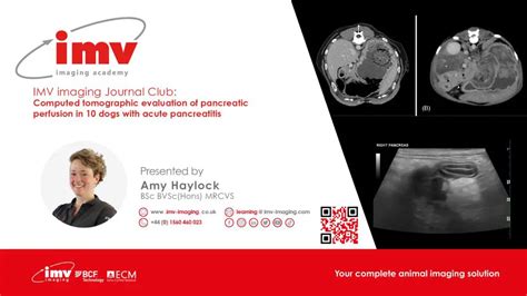 Computed Tomographic Evaluation Of Pancreatic Perfusion Journal