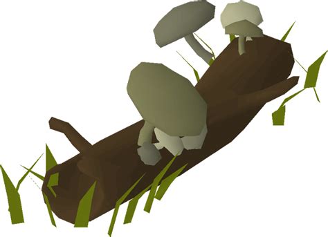 Fallen Tree 2024 Easter Event Osrs Wiki