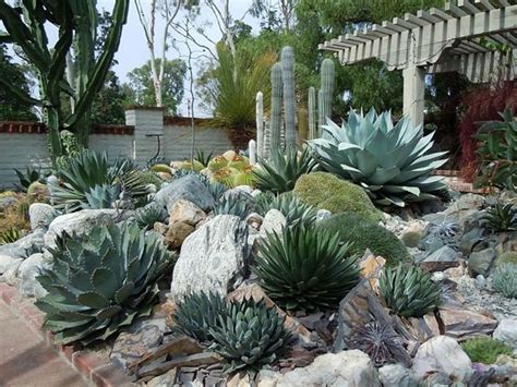 19 Cactus Rock Garden Ideas You Should Check Sharonsable