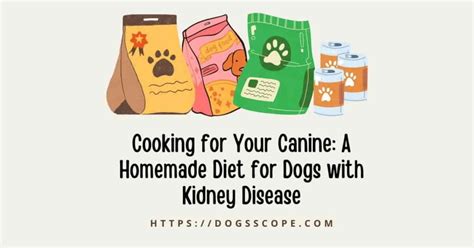 Homemade Diet For Dog With Kidney Disease And Foods To Avoid