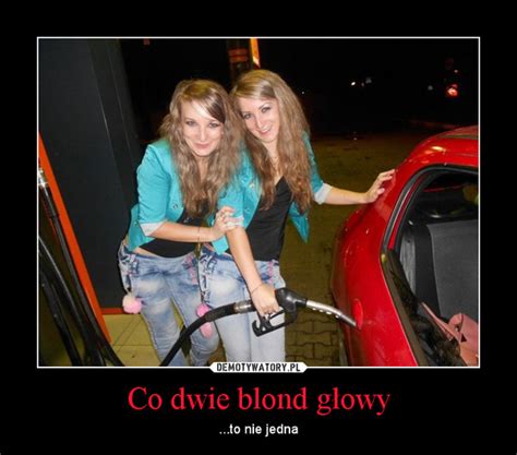 Co Dwie Blond G Owy Demotywatory Pl