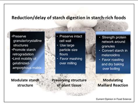 Figure 1 From Designing Food Structure To Slow Down Digestion In Starch