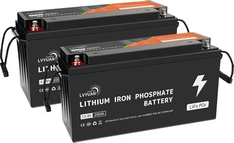 Amazon Lvyuan 200ah 2台セット 12v リン酸鉄リチウムイオンバッテリー Lifepo4 5120wh5