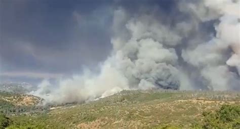 Onemi Informa Que Se Mantiene Alerta Roja Por Ocho Incendios Forestales