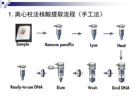 国内外核酸提取仪介绍 Cc Word文档在线阅读与下载 免费文档