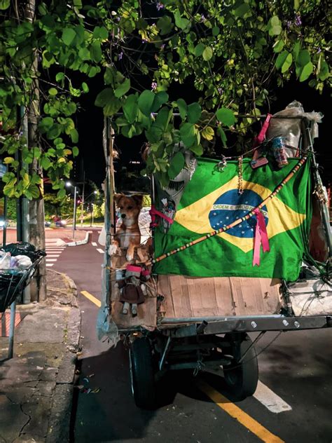 Raz Es Pela Quais O Vira Lata Caramelo Se Tornou A Cara Do Brasil