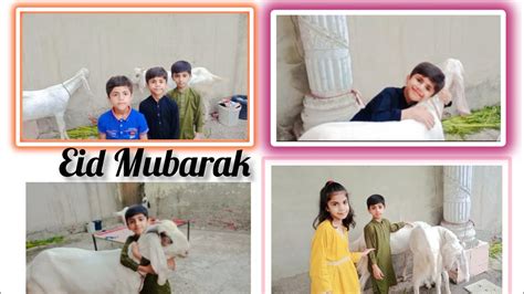 QURBANI KAY BAKRAY BOHUT MAZA AYA BY NAIMA AND HER BROTHERS Qurbani