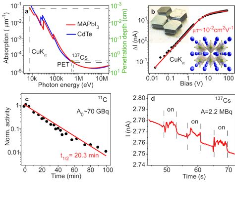 Mapbi Perovskite Sc For Gamma Detection A Attenuation Coefficient