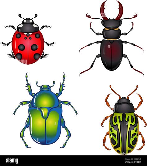 Ilustraci N Vectorial Con Escarabajos De Insectos Establecer Aislado