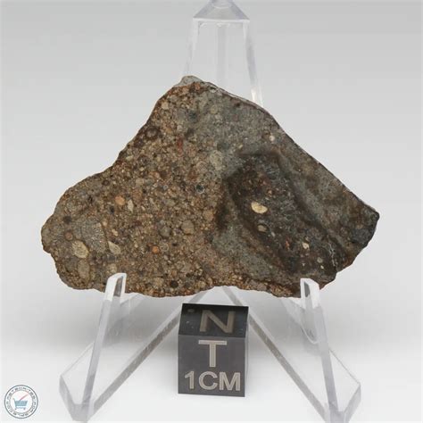 Nwa 7676 Meteorite 7676 48 The Meteorite Exchange Inc