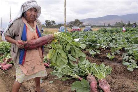 La Jornada Pobres M S De Dos Millones De Familias Campesinas Mexicanas