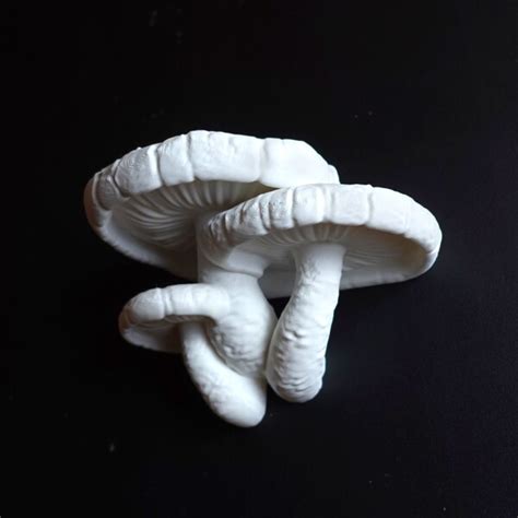 Shelf Mushroom Etsy Uk