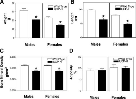 Figure From Ucp Mediated Energy Depletion In Skeletal Muscle