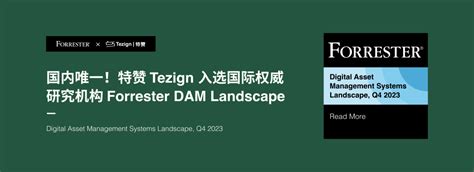 国内唯一！特赞 Tezign 入选国际权威研究机构 Forrester 最新 Dam 报告 极客公园