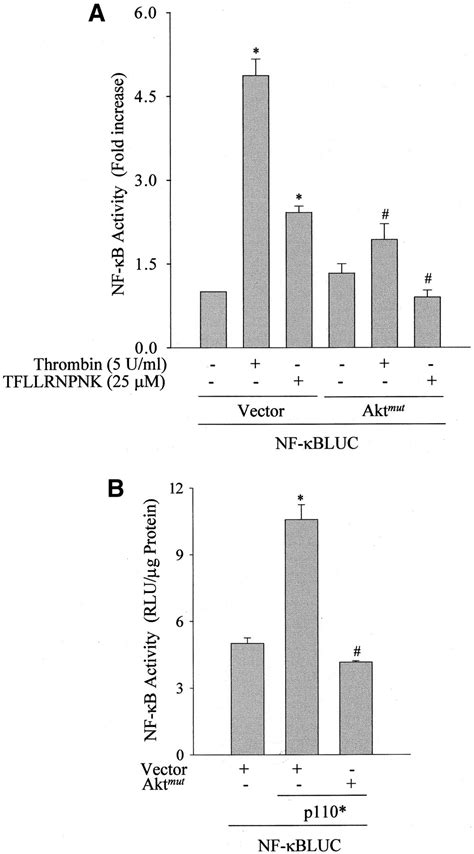 Gαq And Gβγ Regulate Par 1 Signaling Of Thrombin Induced Nf κb