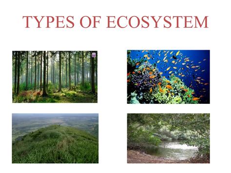 TYPES OF ECOSYSTEM PPT