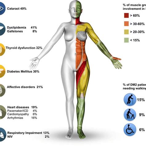 Flow diagram for the diagnostic approach to myotonic dystrophy type 2 ...