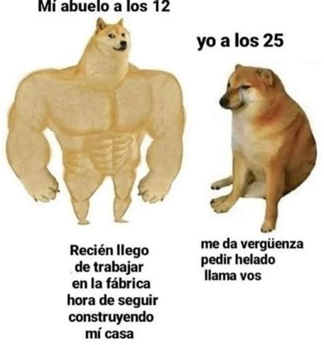 El Meme Del Perrito La Sensación Viral Del Momento El Esquiu