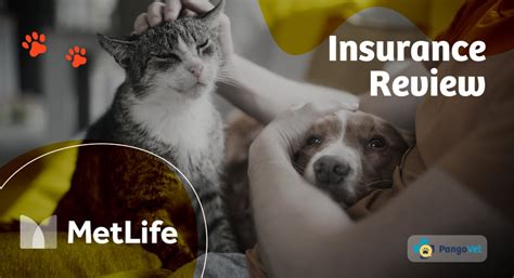 Metlife Pet Insurance Review 2024 Pros Cons Verdict PangoVet