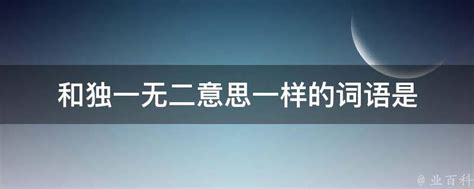 和独一无二意思一样的词语是 业百科