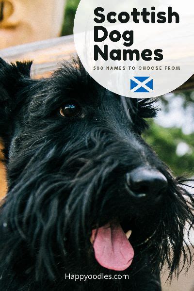 Scottish Dog Names: 200+ Dog Names - | Dog names, Female dog names, Dog ...