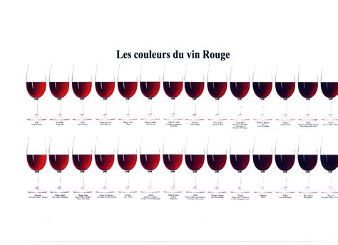 Le Couleurs Du Vin Rouge