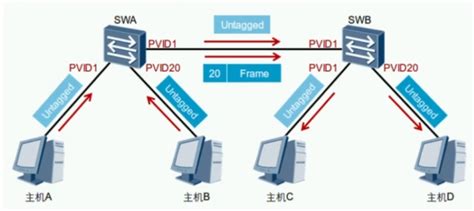 Vlan Vlan Vlan Csdn