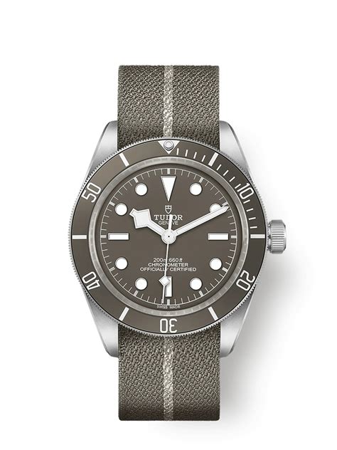 Tudor 79010sg 0002 Black Bay Fifty Eight 925 Watchbase