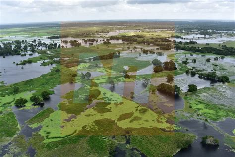 Pantanos De Centla De Relevancia Mundial