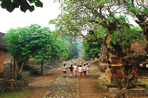 Tenganan Village Balimagictour