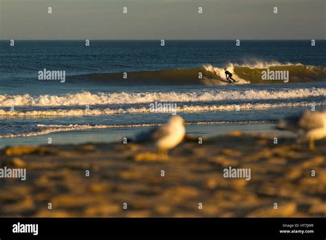 Person Surfing At Sandbirdge By Virginia Beach Stock Photo - Alamy