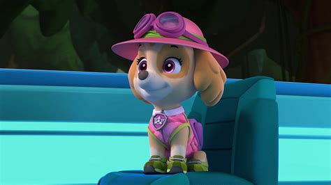 Ver Paw Patrol Patrulla De Cachorros Temporada Episodio Paw