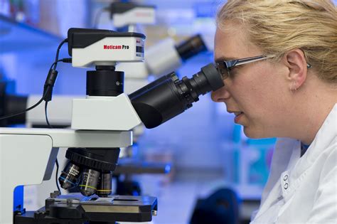 PIN: A Trial Looking At Olaparib For Non Small Cell Lung Cancer ... 