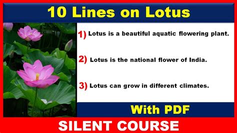 Lines On Lotus Flower Few Lines On Lotus In English Lines On