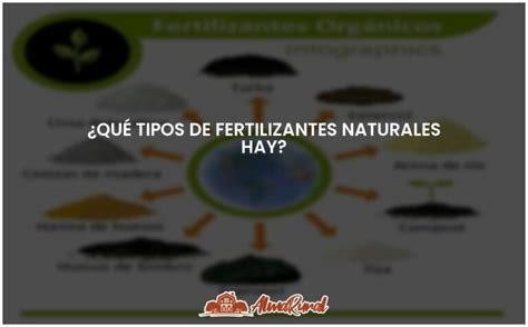 Tipos de fertilizantes naturales guía completa y recomendaciones