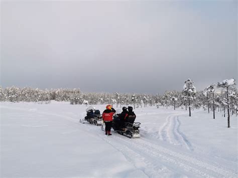 Rovaniemi Safari De Horas En Moto De Nieve Por Laponia Getyourguide