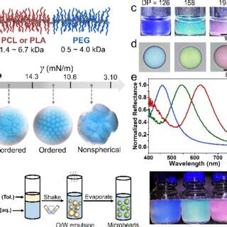 (PDF) Precise Tailoring of Polyester Bottlebrush Amphiphiles toward Eco ...