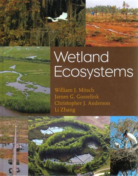 Wetland Ecosystems Nhbs Academic And Professional Books