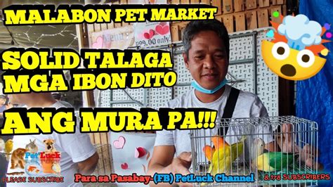 MURA PERO SOLID QUALITY NA MGA IBON ANG DAMI DITO SA MALABON PET MARKET