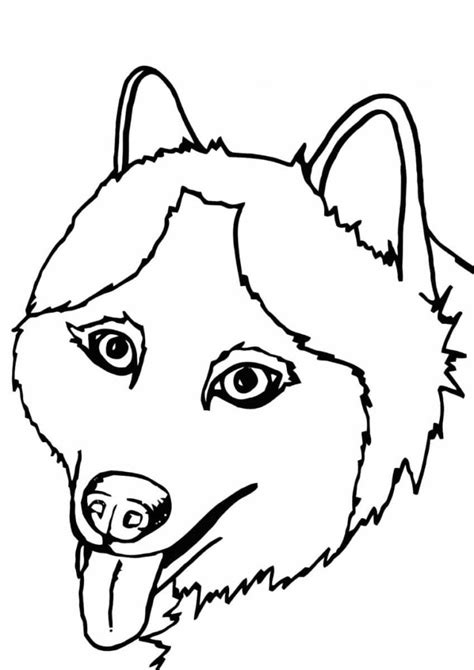 Dibujos De Husky Para Colorear Imprimir Y Pintar WONDER DAY