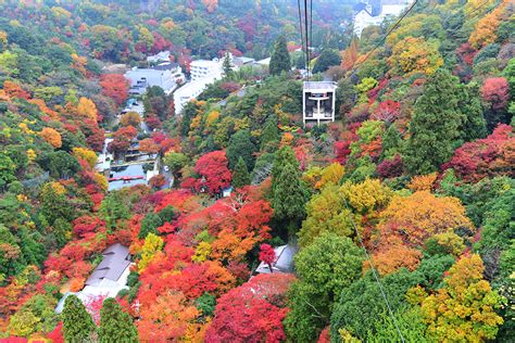 秋の六甲山ハイキングツアー～紅葉谷編～ 六甲・まや空中散歩