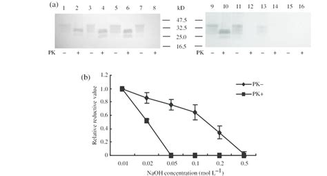 Effects Of Different Concentration Naoh On Pk Resistance Of Prp Sc