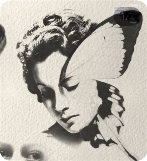 Pin De Pessoa Em Framed Butterflies Desenhos Para Tatuagem Tatuagens