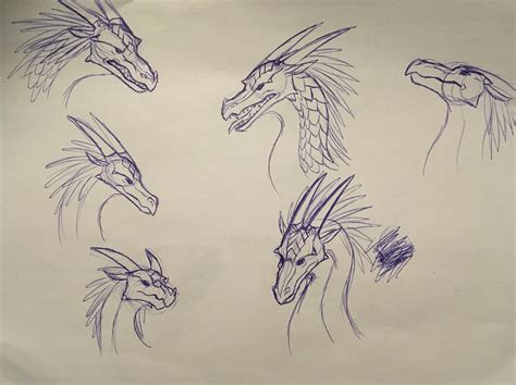 Wings Of Fire Sketches Icewing Headshots By Iron Zing On Deviantart