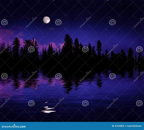 Forest Moonrise Reflection stock image. Image of pink - 3753983