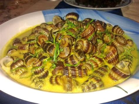 Siput Sedut Masak Lemak Cili Padi MyResipi