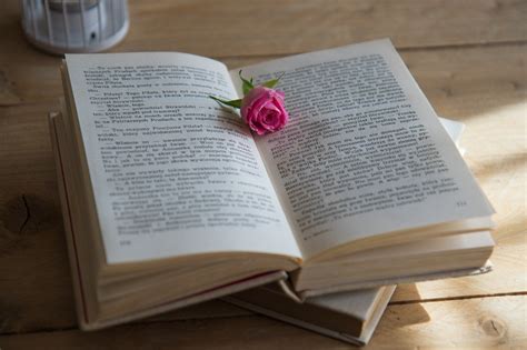 Top 10 Romantic Novels By Indian Authors Which You Must Read