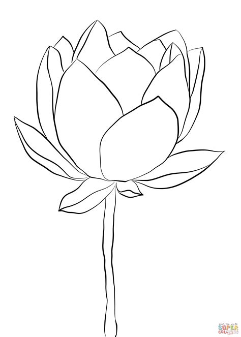 Coloring Pages Blossom Lotus Flower Coloring Pages Images And Photos